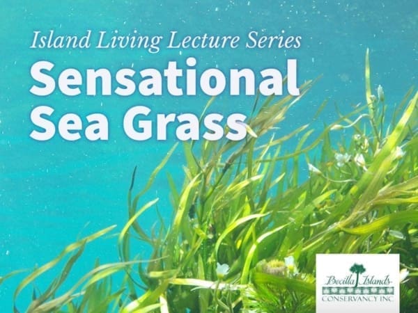 bici seagrass living lecture