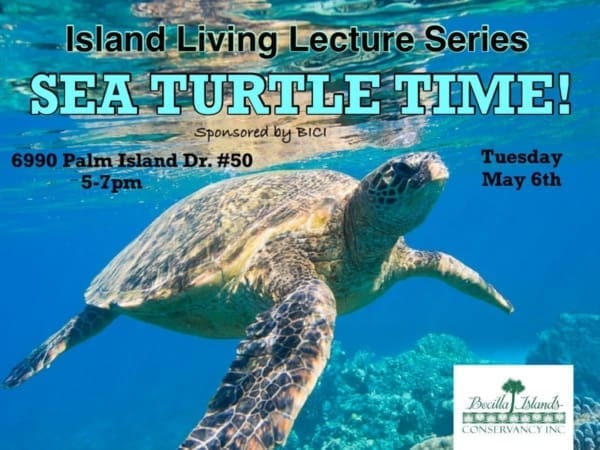 bici event turtle time