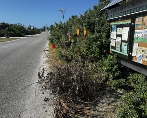 island clean up 03