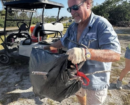 island clean up 06