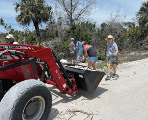 island clean up 07
