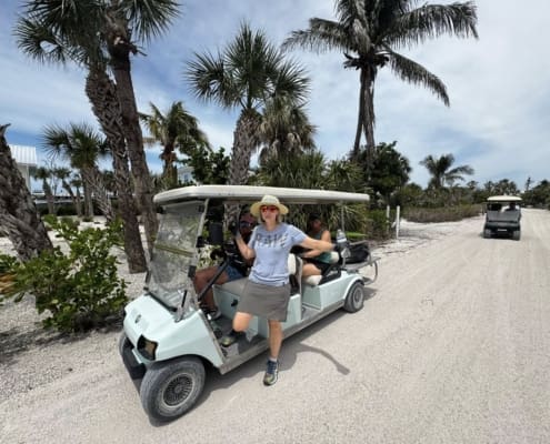 island clean up 12