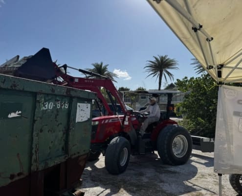 island clean up 13
