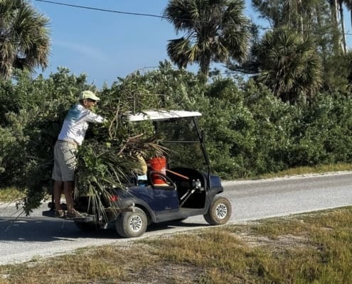island clean up 15