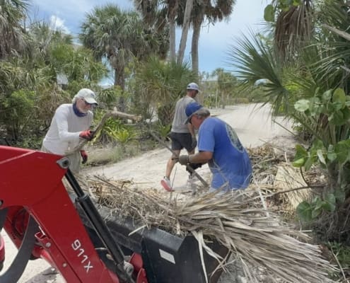 island clean up 16