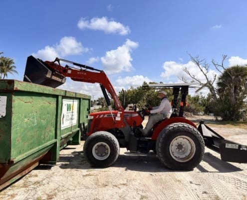 island clean up 18