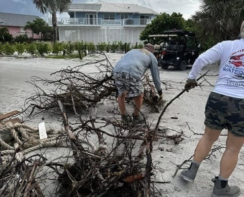 bici cleanup3 2025 39