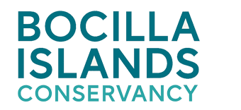Bocilla Island Conservancy