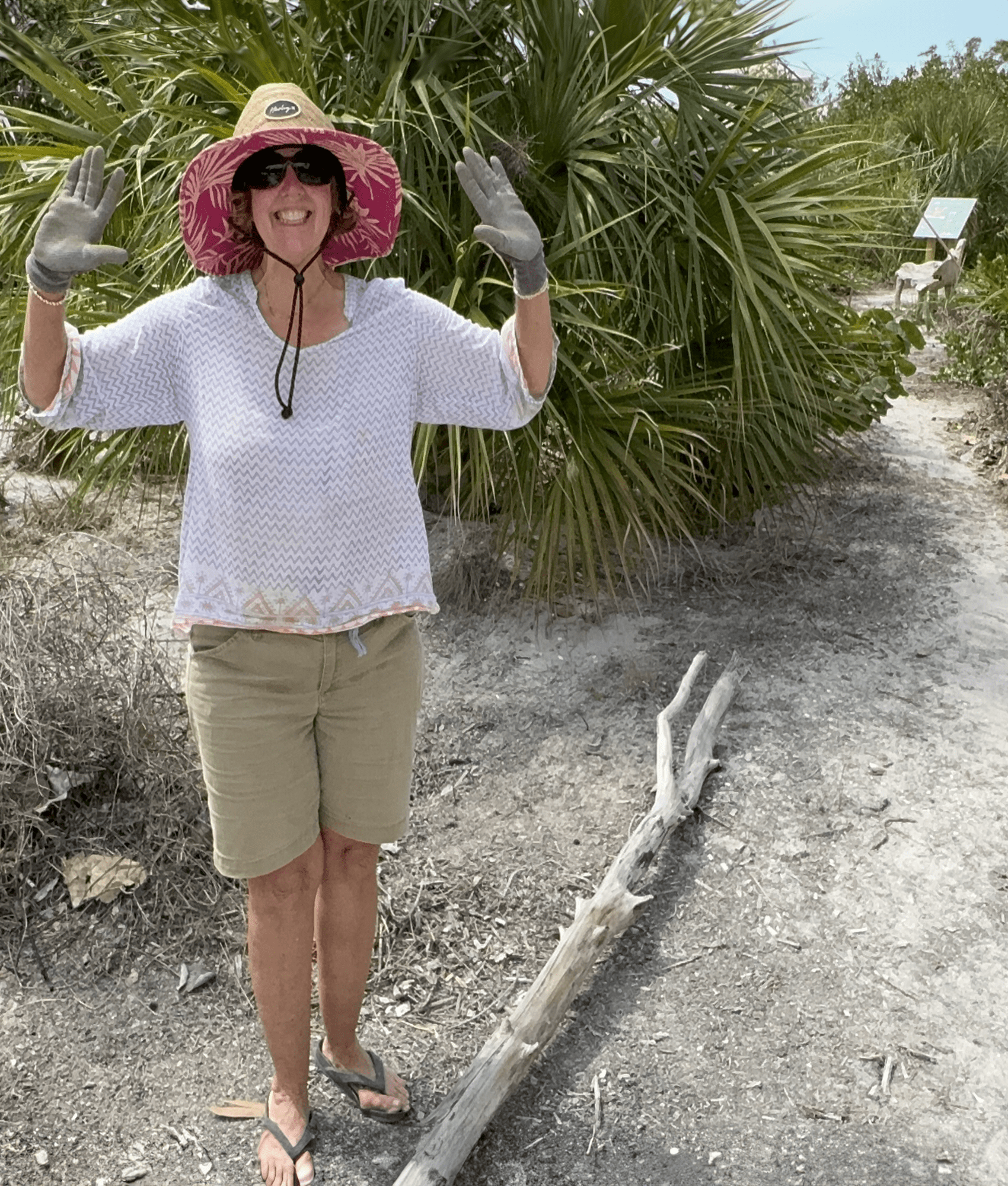 Kelly Lube Park Cutivator