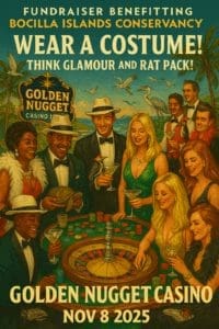 Join Us For Casino Night Nov 8 2025 at 61 Kettle Harbor at 5 PM