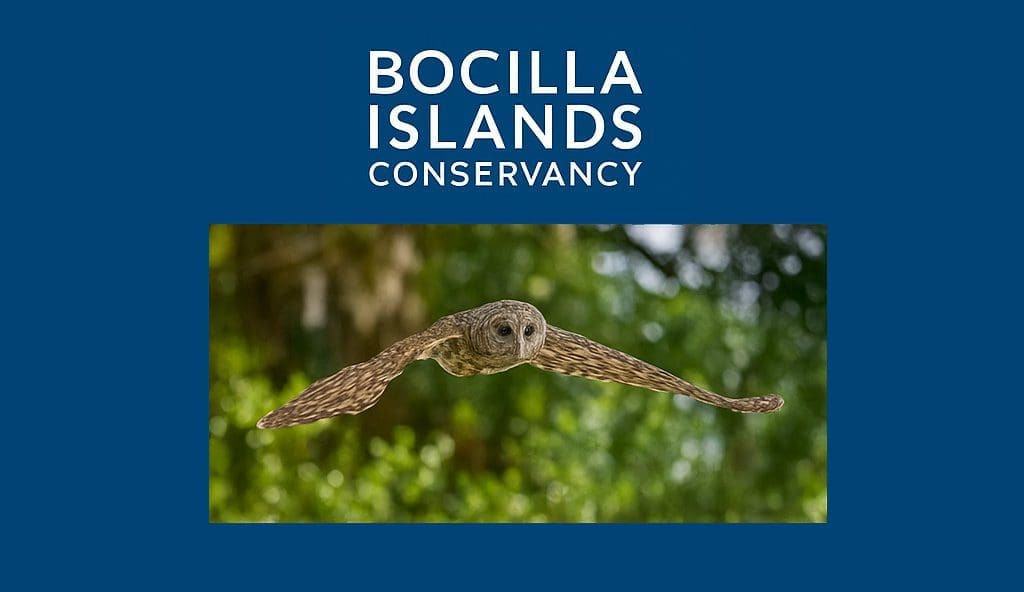 Fundraiser To Aquire 47 Tarpon Way