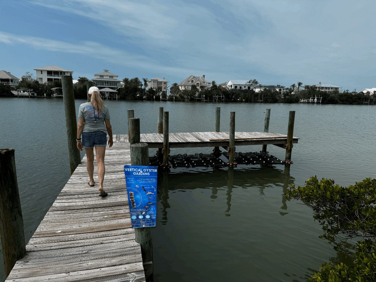 Artificial reef Marine Life Park Drift Wood Park sign 2 1 scaled