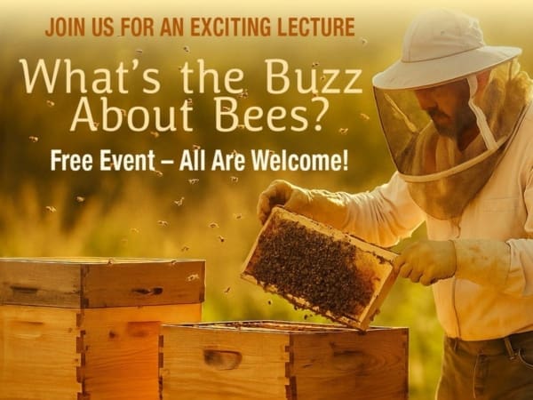 buzz about bees2