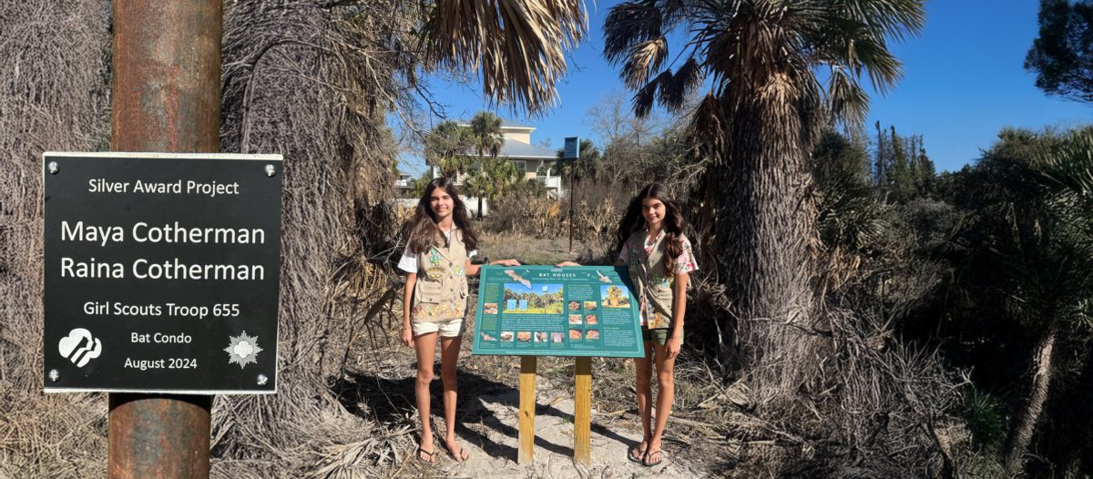 silver award project