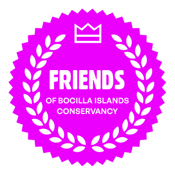 art palms sponsor icons