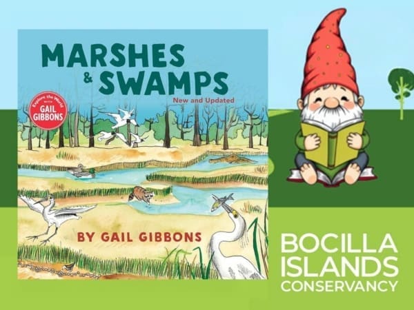 story stroll marshes swamps