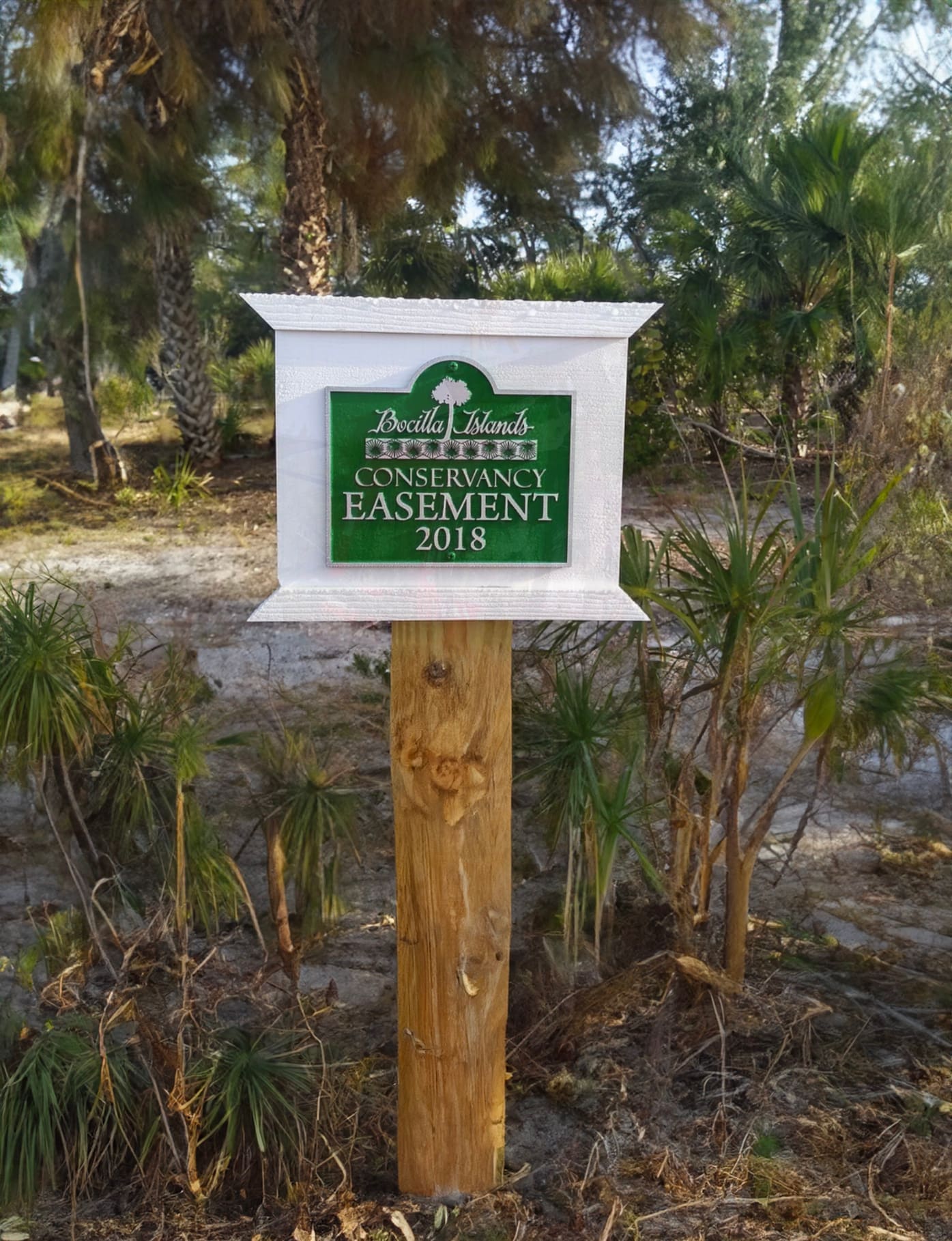 2018 Gnome Garden Established jpg