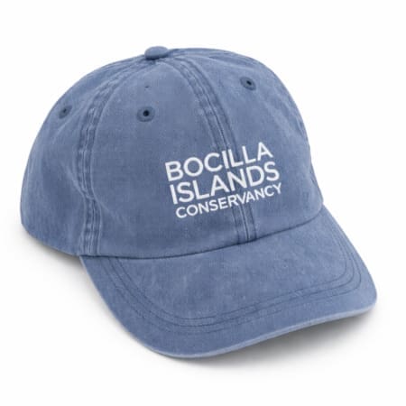 Bocilla Islands Conservancy logo hat blue