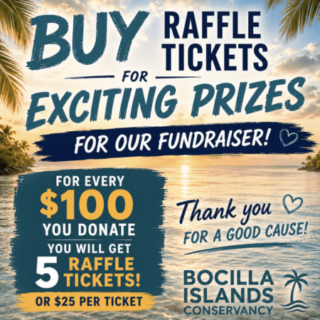 Buy Raffle Tickets 5 for every $100