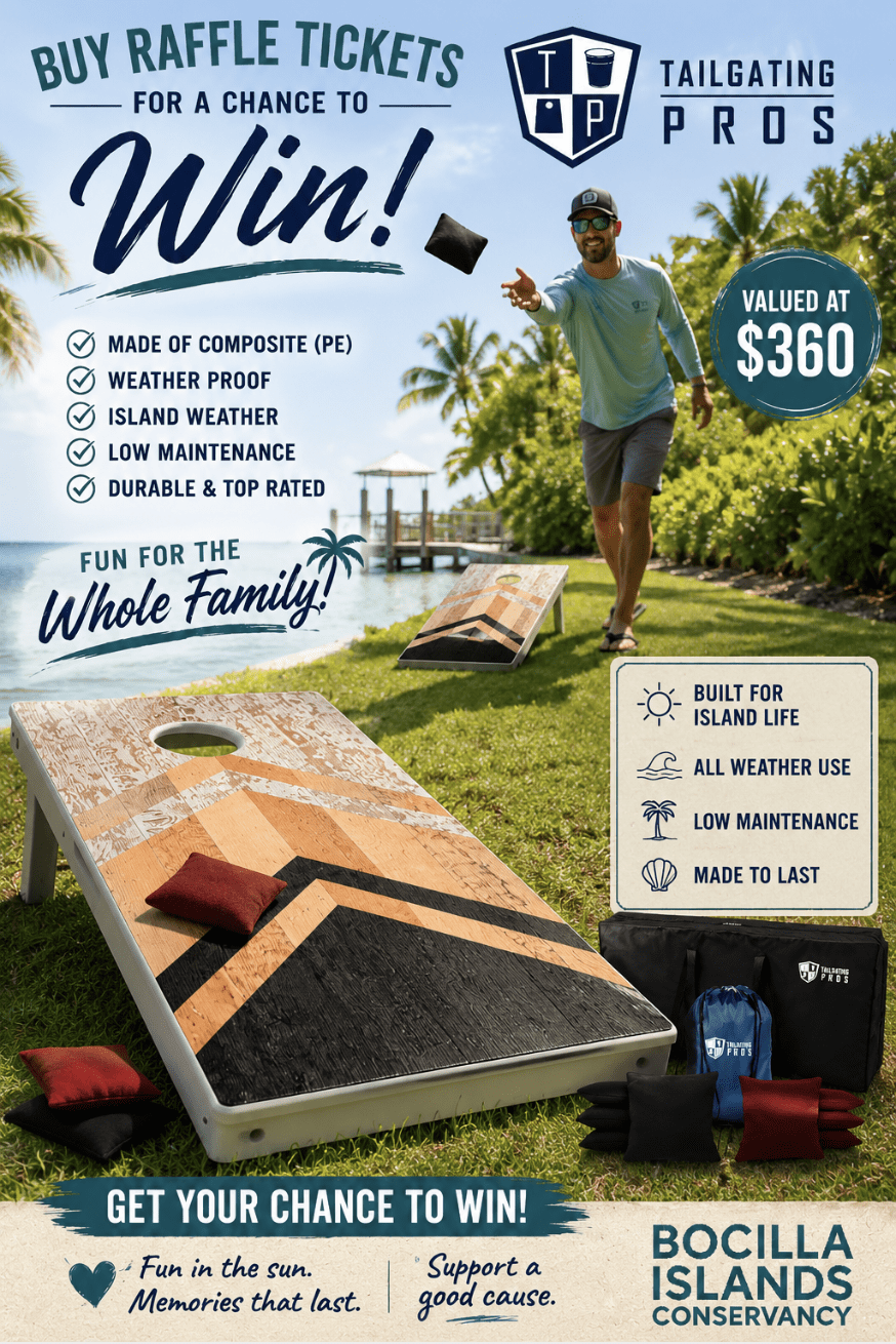Cornhole weatherproof buy raffle tickets